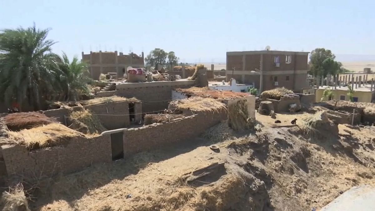 شاهد: قرية مصرية تواجه دماراً كبيراً بسبب غزو النمل الأبيض