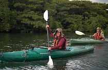 Trek et kayak dans la nature sauvage de l'île japonaise d'Iriomote
