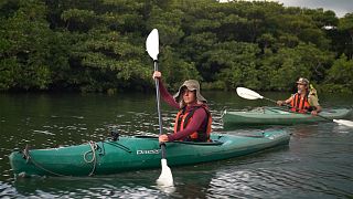 Trek et kayak dans la nature sauvage de l'île japonaise d'Iriomote