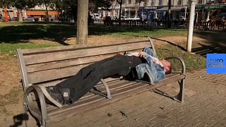 Hippolyte on one of the benches