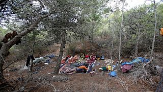 المغرب يعتقل 141 مهاجراً حاولوا اقتحام سياج حدودي مع إسبانيا ويعتزم ترحيلهم