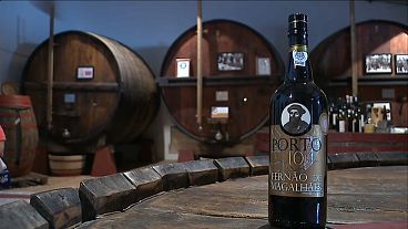 Adega de Sabrosa quer vinho oficial da viagem circum-navegação