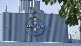 Monsanto-Prozess: Bayer will trotz geringerer Strafe in Berufung