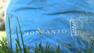 Glyphosate : amende moins salée pour Monsanto