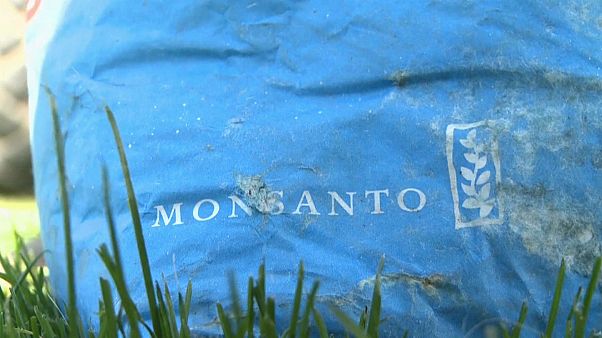 Glyphosate : amende moins salée pour Monsanto Glyphosate : amende moins salée pour Monsanto
