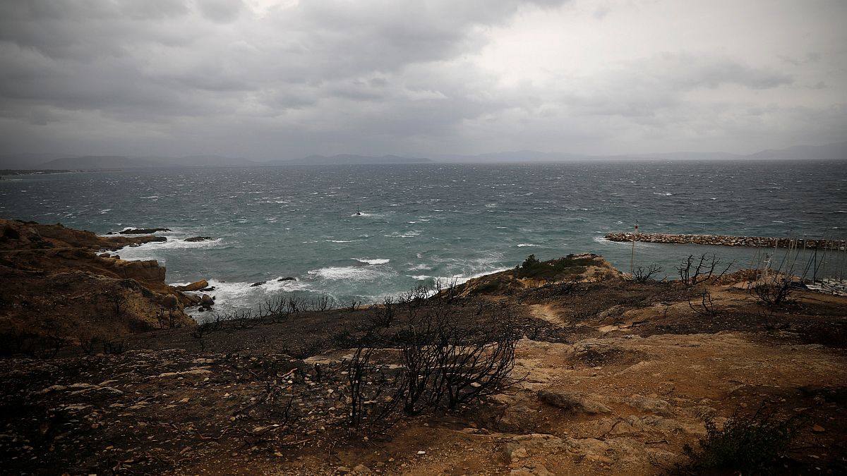 Brandkatastrophe in Griechenland: Küstenwache sucht weiterhin nach den Vermissten