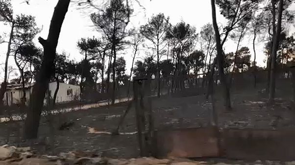 Incêndios na Grécia: voluntários da Cruz Vermelha fazem buscas Incêndios na Grécia: voluntários da Cruz Vermelha fazem buscas