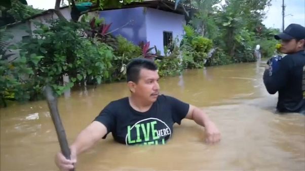Mexiko: Verheerende Schäden durch Hurrikan "Vicente" Mexiko: Verheerende Schäden durch Hurrikan "Vicente"