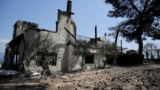 Incêndios na Grécia: a vila de Mati duas semanas depois da tragédia