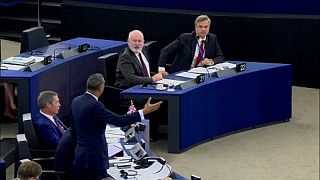 Eklat um "Nazi-Debatte" im Europäischen Parlament