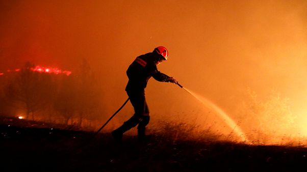 Bajo control el incendio de Eubea Bajo control el incendio de Eubea