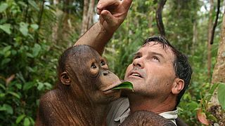 Todd Lemons' firm runs tropical wetlands and orangutan reserve Rimba Raya