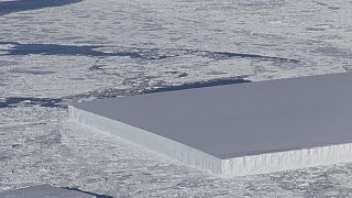 VIDEO Un iceberg rettangolare in Antartide