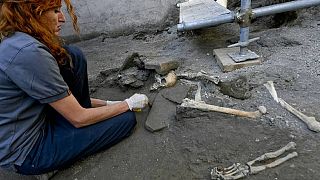 Archaeologists uncover 5 'undisturbed' skeletons at Pompeii | The Cube