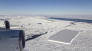 1,6 km in der Diagonalen: Forscher entdecken rechteckigen Eisberg in der Antarktis