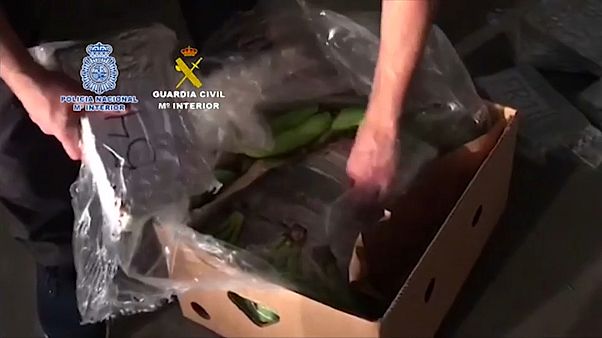 Spanien: Polizei findet 6 Tonnen Kokain in Bananen-Lieferung Spanien: Polizei findet 6 Tonnen Kokain in Bananen-Lieferung