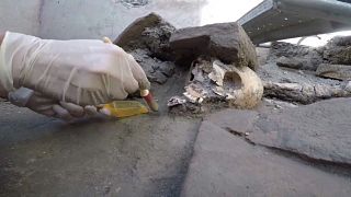 Hallan varios esqueletos intactos en la antigua ciudad enterrada de Pompeya
