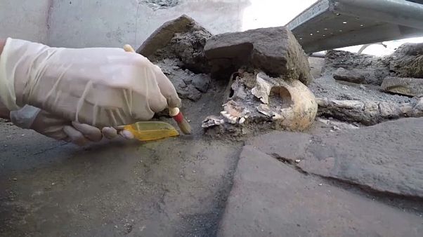 Új csontvázakat találtak Pompeii-ben Új csontvázakat találtak Pompeii-ben