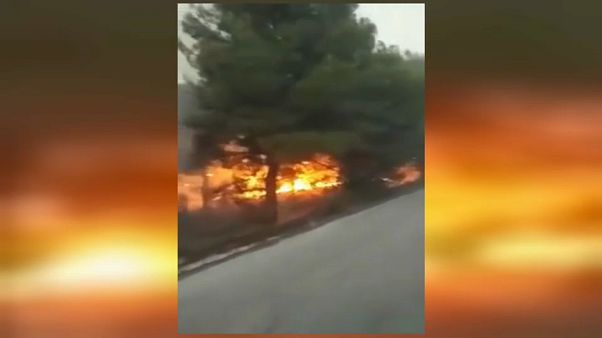 Grecia: vasto incendio nella penisola di Sithonia Grecia: vasto incendio nella penisola di Sithonia