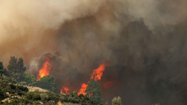 Χαλκιδική: Ολονύχτια μάχη με τις φλόγες στη Σάρτη Χαλκιδική: Ολονύχτια μάχη με τις φλόγες στη Σάρτη