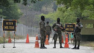Uyuşturucu kartellerinin savaştığı Meksika'da toplu mezardan 19 ceset çıkarıldı