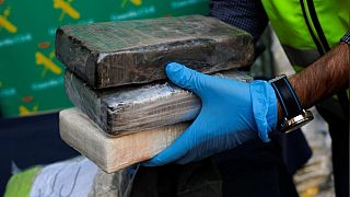 Watch: Spanish police seize six tons of cocaine hidden in banana cargo