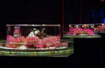 Shanghai Art Aquarium celebrates Japanese culture