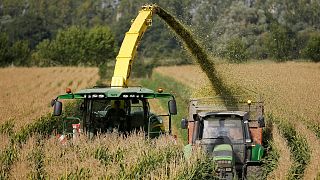 France suspends use of one of Europe's most popular pesticides after farm workers fall ill