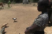 Au Kenya, un projet de revenu universel