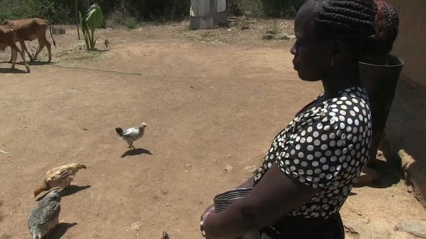Au Kenya, un projet de revenu universel Au Kenya, un projet de revenu universel