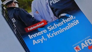 Afd, il partito di estrema destra tedesco stravince alle ultime regionali