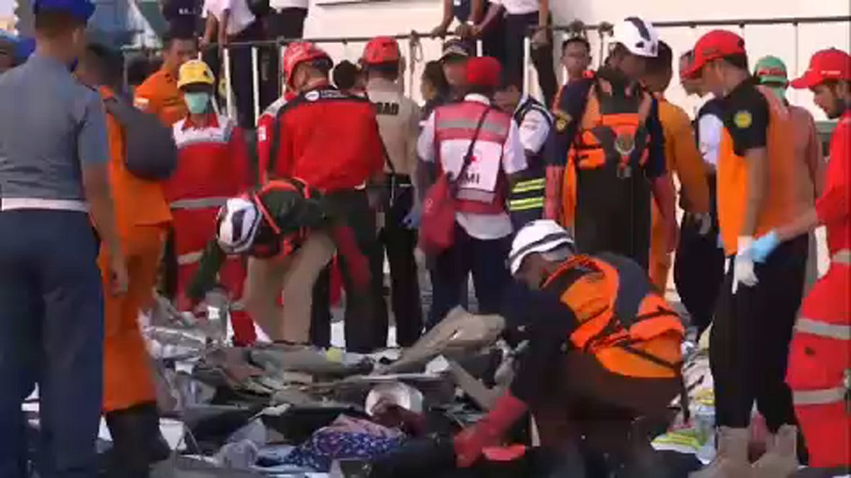 Avião com 189 pessoas a bordo cai na Indonésia