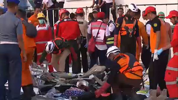 Indonesia, volo precipitato: un italiano a bordo Indonesia, volo precipitato: un italiano a bordo