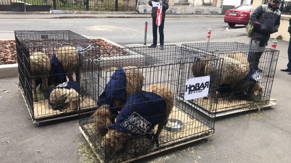 Russia: nove pecore in gabbia, nuova intimidazione a Novaya Gazeta
