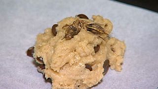 Choc bug cookies and worm nachos on Australian school menu