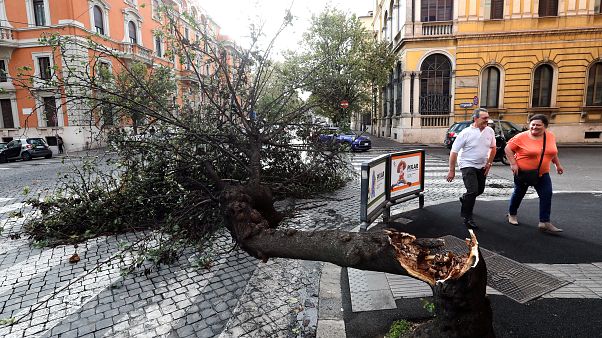 Ascienden a diez los muertos por el temporal en Italia Ascienden a diez los muertos por el temporal en Italia