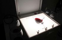 Die Lightbox guckt ganz tief in den Wein