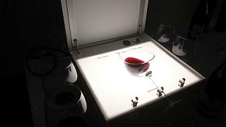 La radiografía que permite ver el vino con todo detalle
