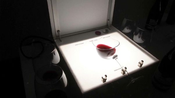 Die Lightbox guckt ganz tief in den Wein Die Lightbox guckt ganz tief in den Wein
