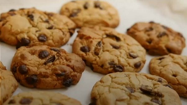 Biscotti con grilli, larve e formiche nel menù di una scuola australiana Biscotti con grilli, larve e formiche nel menù di una scuola australiana