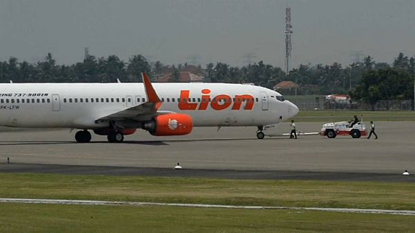 Flugdatenschreiber von indonesischer Maschine geborgen Flugdatenschreiber von indonesischer Maschine geborgen