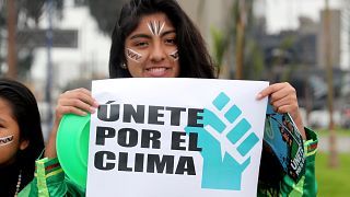Peru'nun başkenti Lima'da iklim değişikliği politikalarına karşı protesto
