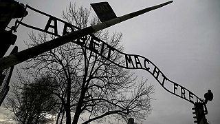 Aufschrei gegen "Auschwitzland": "Schwarzer Humor" unter Neonazis?