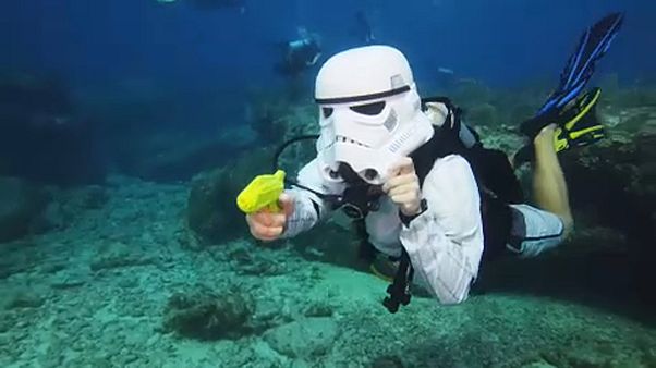 Una fiesta de Halloween bajo el agua Una fiesta de Halloween bajo el agua