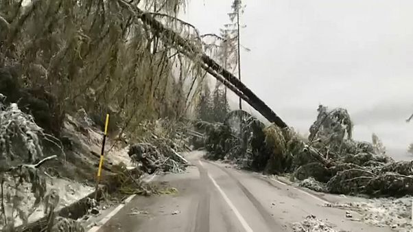 Dieciséis muertos por el temporal en Italia Dieciséis muertos por el temporal en Italia