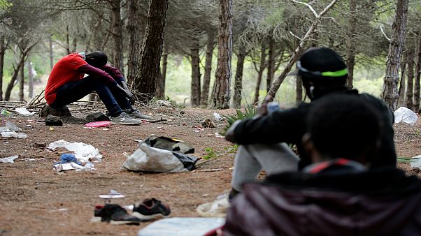 المغرب يفرض تصريحاً إلكترونياً على الأفارقة المتوجهين إلى أوروبا عبر أراضيه المغرب يفرض تصريحاً إلكترونياً على الأفارقة المتوجهين إلى أوروبا عبر أراضيه