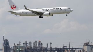 Japon havayolu göz altına alınan sarhoş pilot için özür diledi