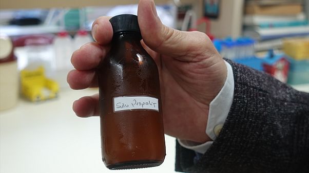 VİDEO | AIDS hastalarına umut olacak proje: Propolis tedavisi VİDEO | AIDS hastalarına umut olacak proje: Propolis tedavisi