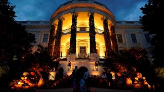 Halloween at the White House and underwater pumpkins: No Comments of the week