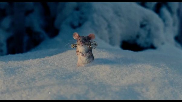 "Lo schiaccianoci e i 4 regni" il film tutto sogno e immaginazione "Lo schiaccianoci e i 4 regni" il film tutto sogno e immaginazione